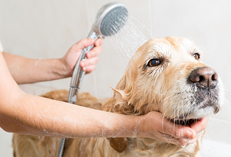 bath